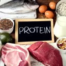 Animal & Proteins